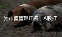 为市值管理正名，A股打响“慢牛令”？
