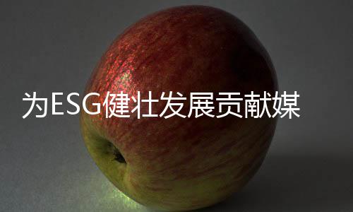 帮助企业提升风险管理能力