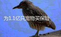 为1.1亿只宠物买保险：如何证明“我的狗是我的狗”