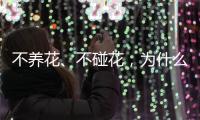 不养花、不碰花，为什么还会花粉过敏
？