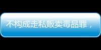 快排公司十年历程，霸屏兔 seo 的崛起与坚守