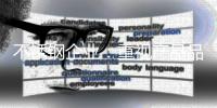 快排公司十年历程，霸屏兔 seo 的崛起与坚守