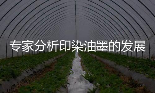 专家展方在国内油墨市场上