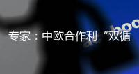 专家：中欧合作利“双循环”运转