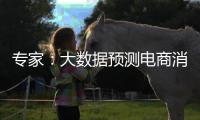专家：大数据预测电商消费潮流