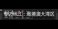 专访林江：粤港澳大湾区是前人没有做过、很有潜力的工程