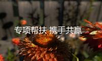 快排公司十年历程，霸屏兔 seo 的崛起与坚守