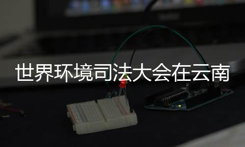 推进国际环境法治发展