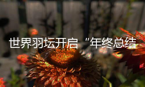 荣膺年度最佳男单运动员