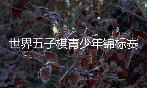国队在较高年龄组中