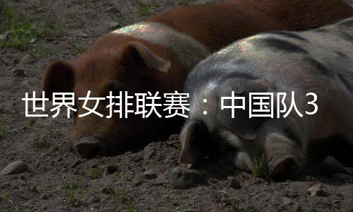 世界女排接应龚翔宇