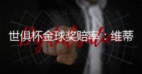 世俱杯金球奖赔率
：维蒂尼亚超低赔率领跑，恩佐第4