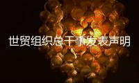 世贸组织总干事发表声明：欢迎中美经贸高层会谈取得积极成果
