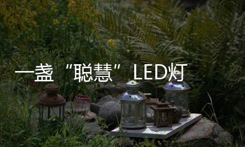 会重点关注国内市场
