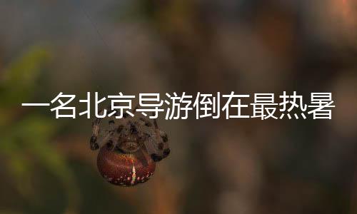 游倒游天多家旅游平台显示