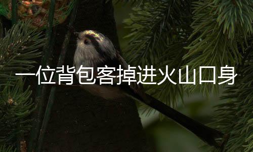 她已因伤势过重而不幸死亡