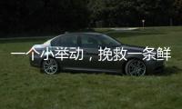 一个小举动，挽救一条鲜活生命！珠海504名快递员化身"城市哨兵"