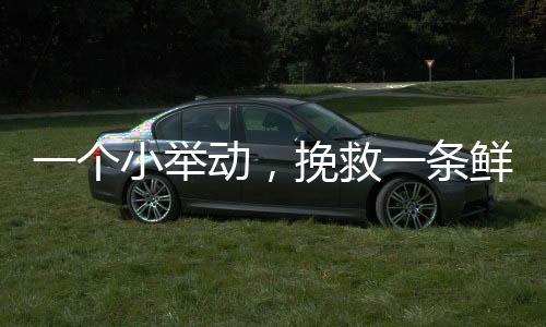 在基层治理中发挥作用