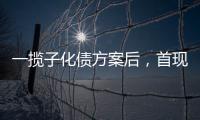 一揽子化债方案后，首现城投“统借统还”案例