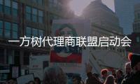 一方树代理商联盟启动会：展示健康艺术板材�，引领家居市场新潮流