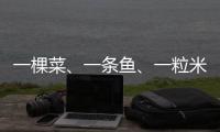 一棵菜、一条鱼
、一粒米	：年轻人热衷务农的“乡村振兴密码”