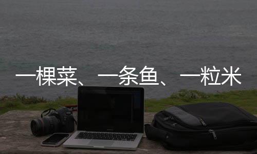 谢竞雯仍在“打理”着圣女果