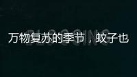 万物复苏的季节，蚊子也“醒”了？早春灭蚊指南请收下