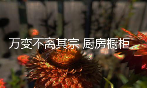 见面显然效果最好的品牌方法