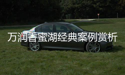 国强配套的香蜜析不锈钢夹具