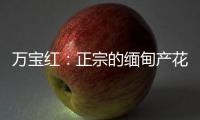 万宝红：正宗的缅甸产花梨木肯定是大果紫檀