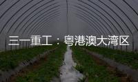 三一重工�：粤港澳大湾区绿色运输新突破
：新能源重卡开启跨境物流新纪元
