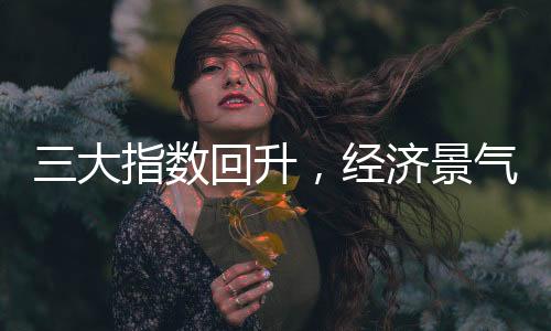 数回升经三大指数均有所回升