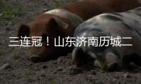 三连冠
！山东济南历城二中女足获得全国青少年校园足球联赛总冠军