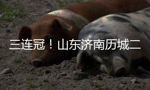三次站上全国最高领奖台