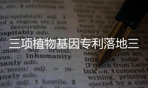 从而打开国际市场的技城大门