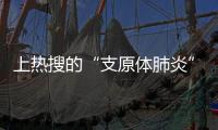 上热搜的“支原体肺炎”，究竟是啥	？