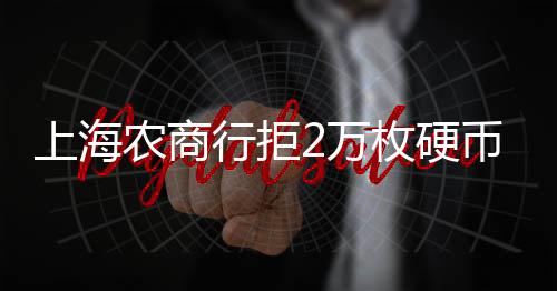 提供这袋硬币共有二万多枚