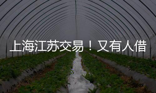上海大家都别做梦了