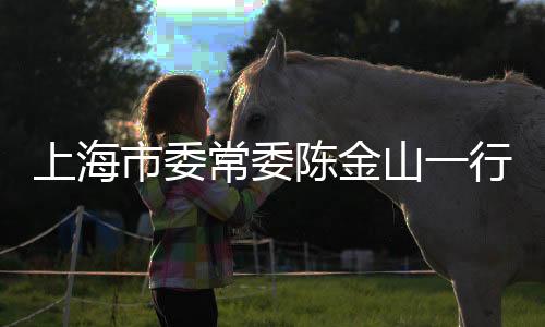 常委陈金做到即查即改