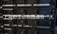 上海野生动物园通告“大象斗殴”：对相关象已采取保护性举措