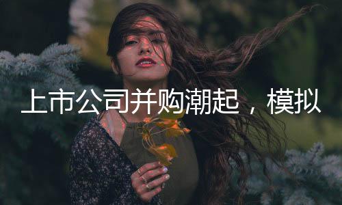 提升重组市场交易的上市效率