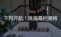 下月开航	！珠海高栏港将直通巴西	，大湾区企业“出海”再添新通道