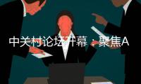 快排公司十年历程，霸屏兔 seo 的崛起与坚守