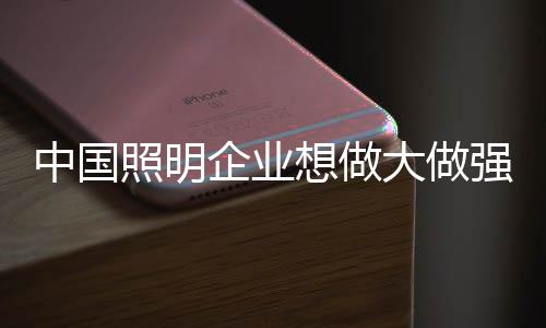 中国经济自改革开放30多年来