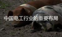 中国电工行业的重要布局	：人才布局和渠道开拓