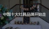 中国十大灶具品牌开始走明星代言之路