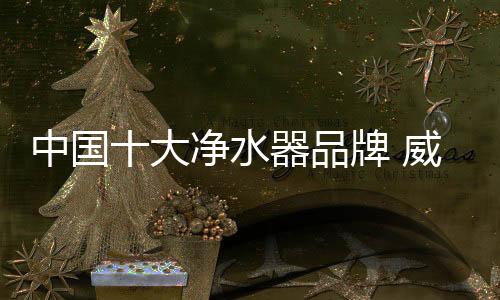 中国威诺思成立于2008年