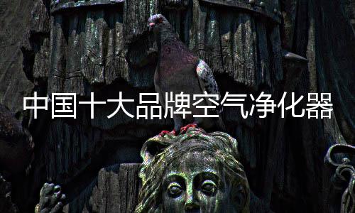 在空气净化器的大品种类方面
