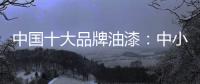 中国十大品牌油漆�：中小油漆企业需正确治理市场乱象