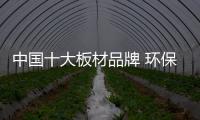 快排公司十年历程，霸屏兔 seo 的崛起与坚守